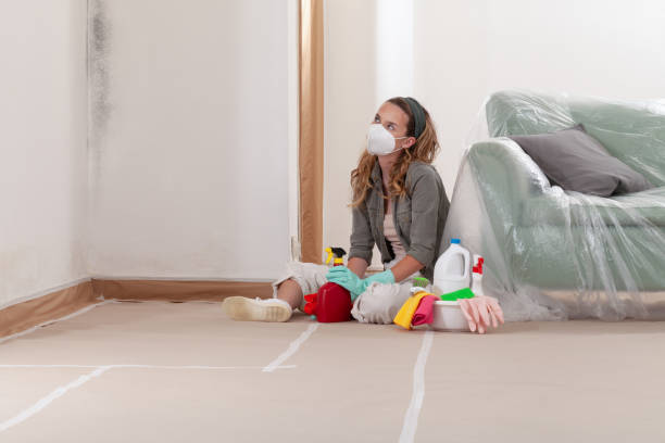 Reliable Mold Testing contractor in The Plains, VA by WQB Mold Removal